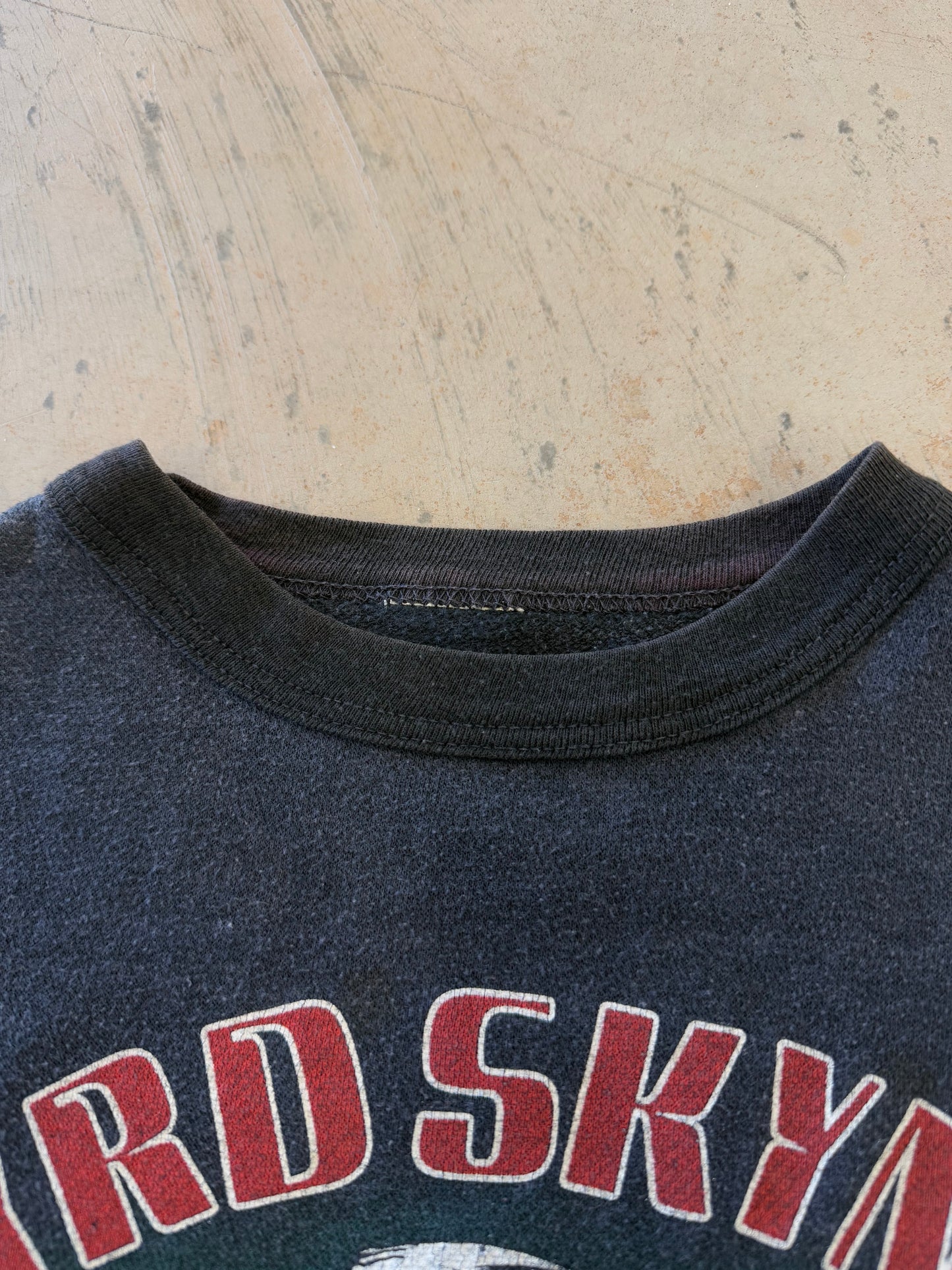 Vintage 80s Lynyrd Skynyrd Fly On Freebird Sleeveless Sweat Tee ( Small )