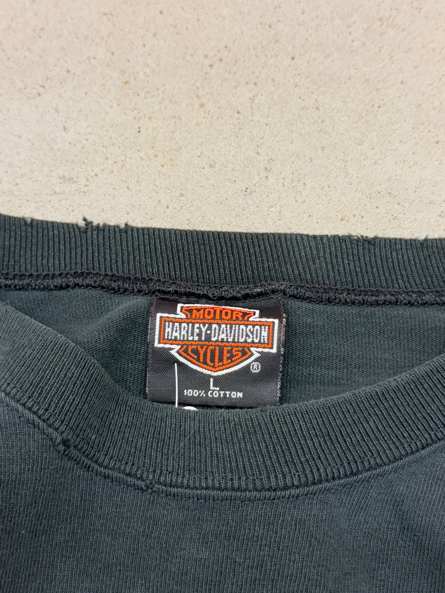 Vintage 90s Flame Sleeve Harley Davidson Winston Salem Tee ( Large )