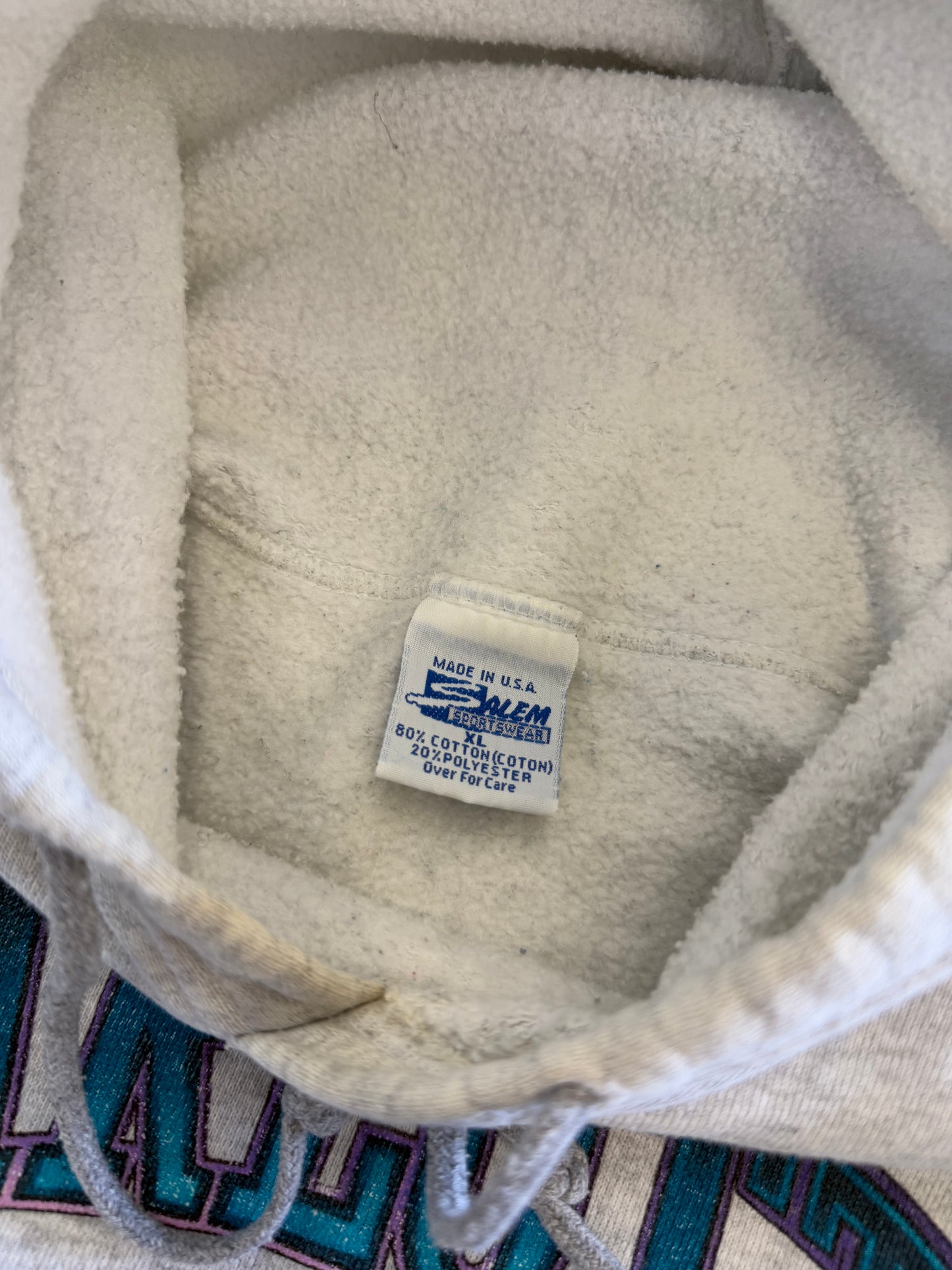 Vintage 9 0 s Charlotte Hornets Salem Sportswear Hoodie ( XL Fits Large )