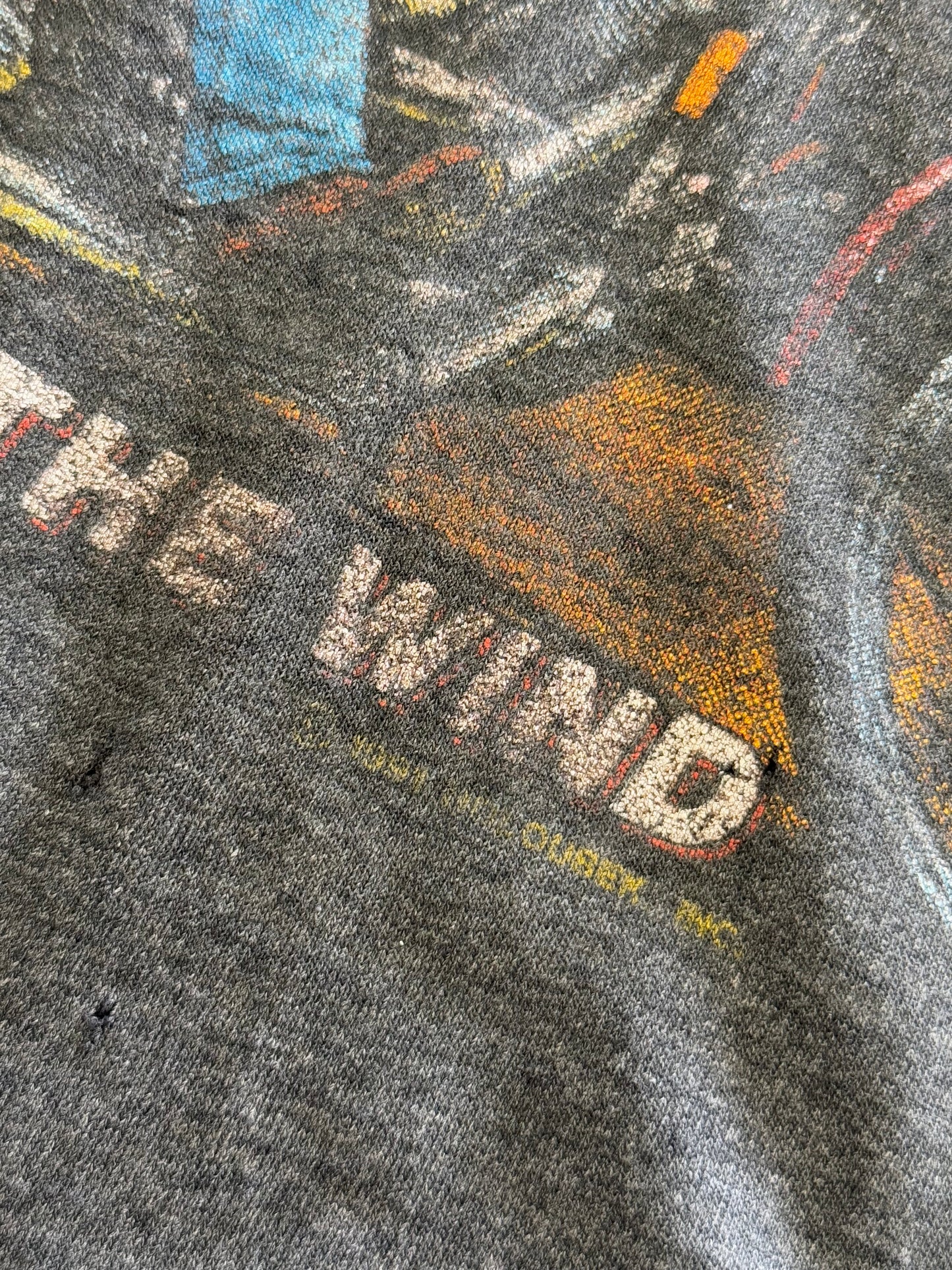 Vintage 1991 Harley Davidson Ride Like The Wind Tee ( Large )