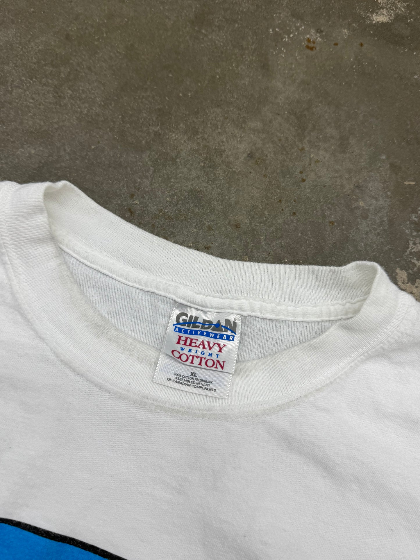 Vintage 2000s Hung Like A Horse Funny Sex Tee ( XL )