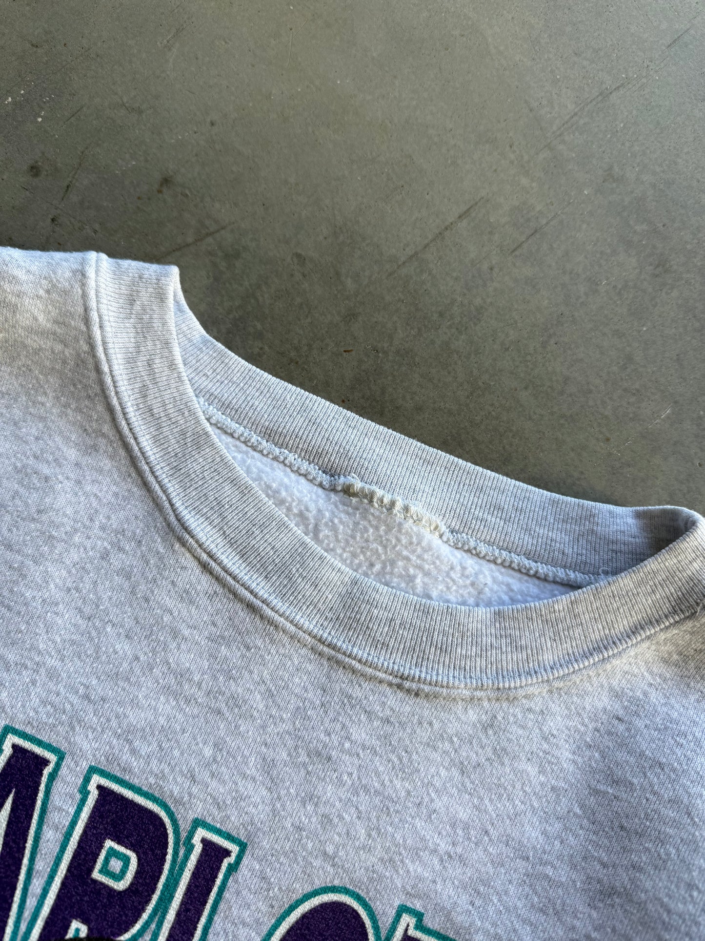 Vintage 1990s Charlotte Hornets Nutmeg Break-Thru Sweatshirt ( XL )