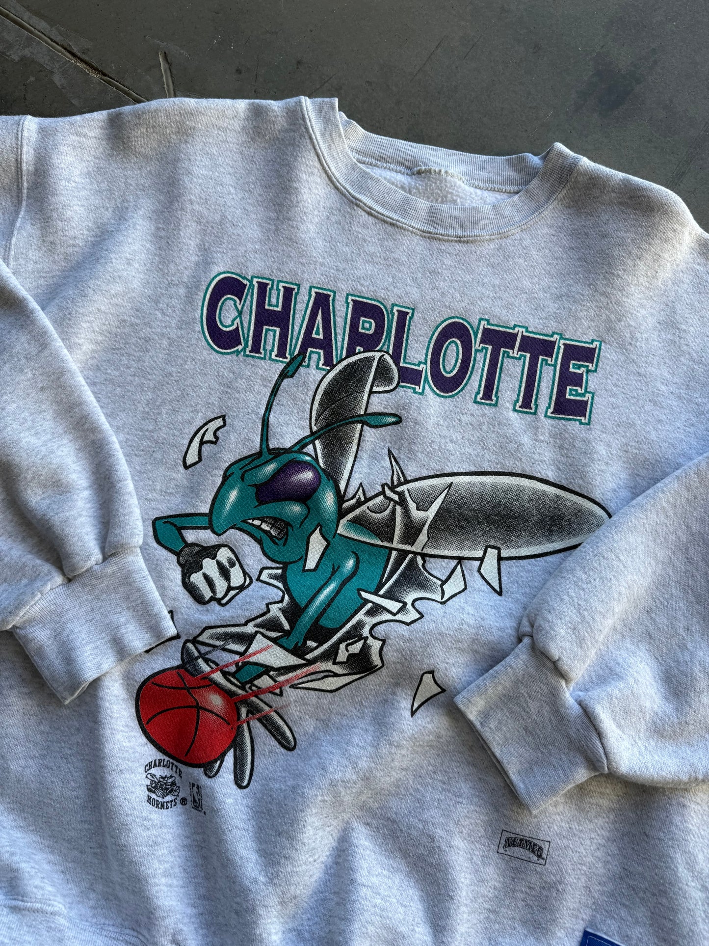 Vintage 1990s Charlotte Hornets Nutmeg Break-Thru Sweatshirt ( XL )
